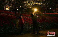 杭州春日“赏花热”：民众